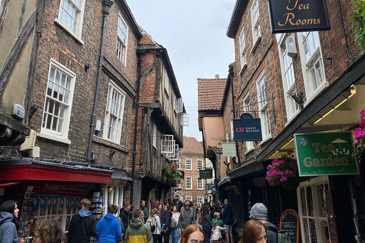 The Shambles 